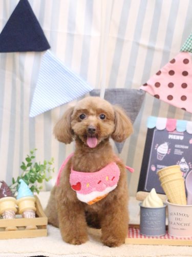 20250501永遠ちゃん